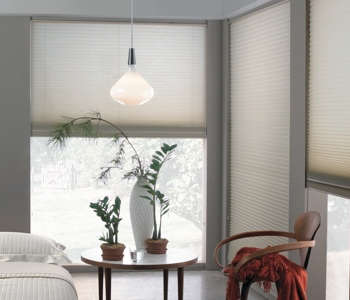 cellular shades in San Diego space